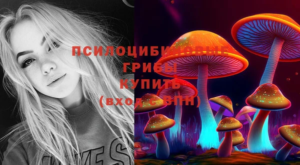 соль ск Бородино
