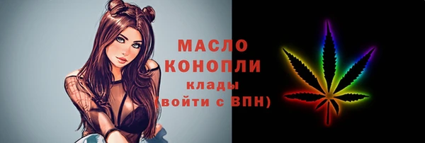 соль ск Бородино