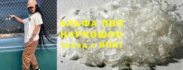 гидра Карпинск